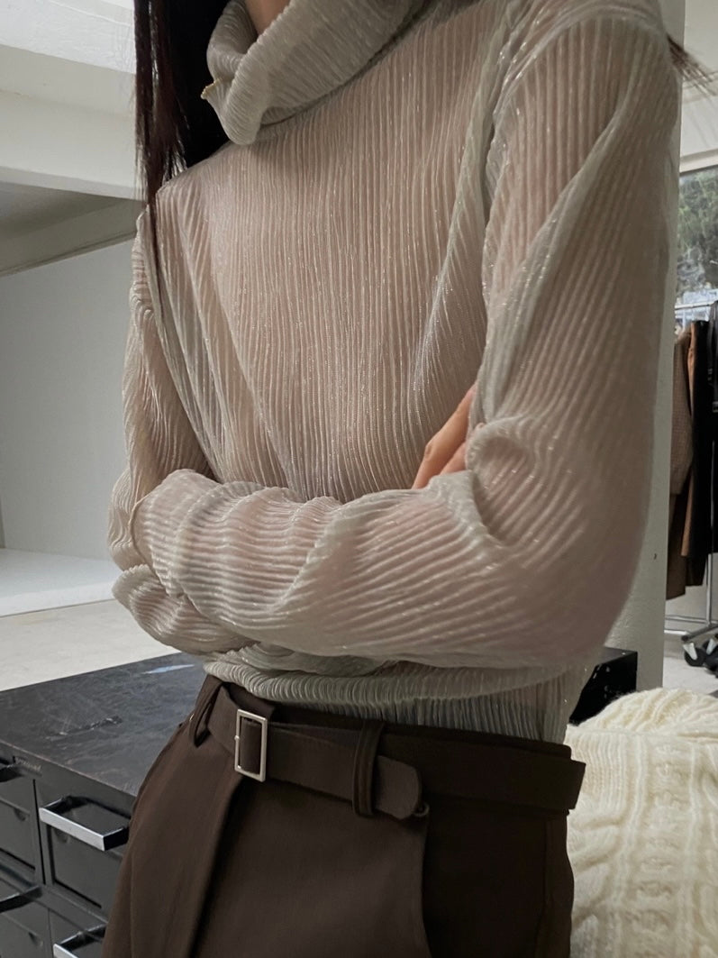 Sparkle Sheer Turtleneck Shirt