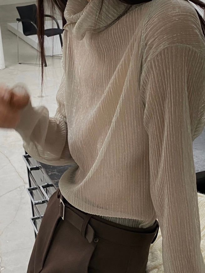 Sparkle Sheer Turtleneck Shirt