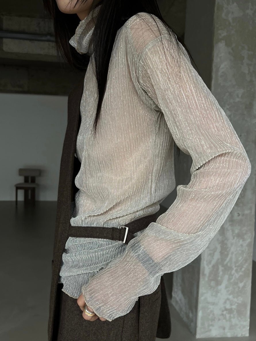 Sparkle Sheer Turtleneck Shirt