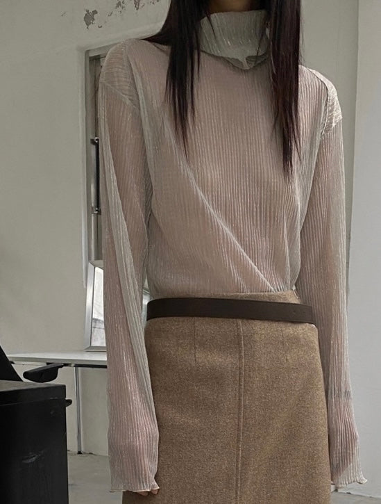 Sparkle Sheer Turtleneck Shirt