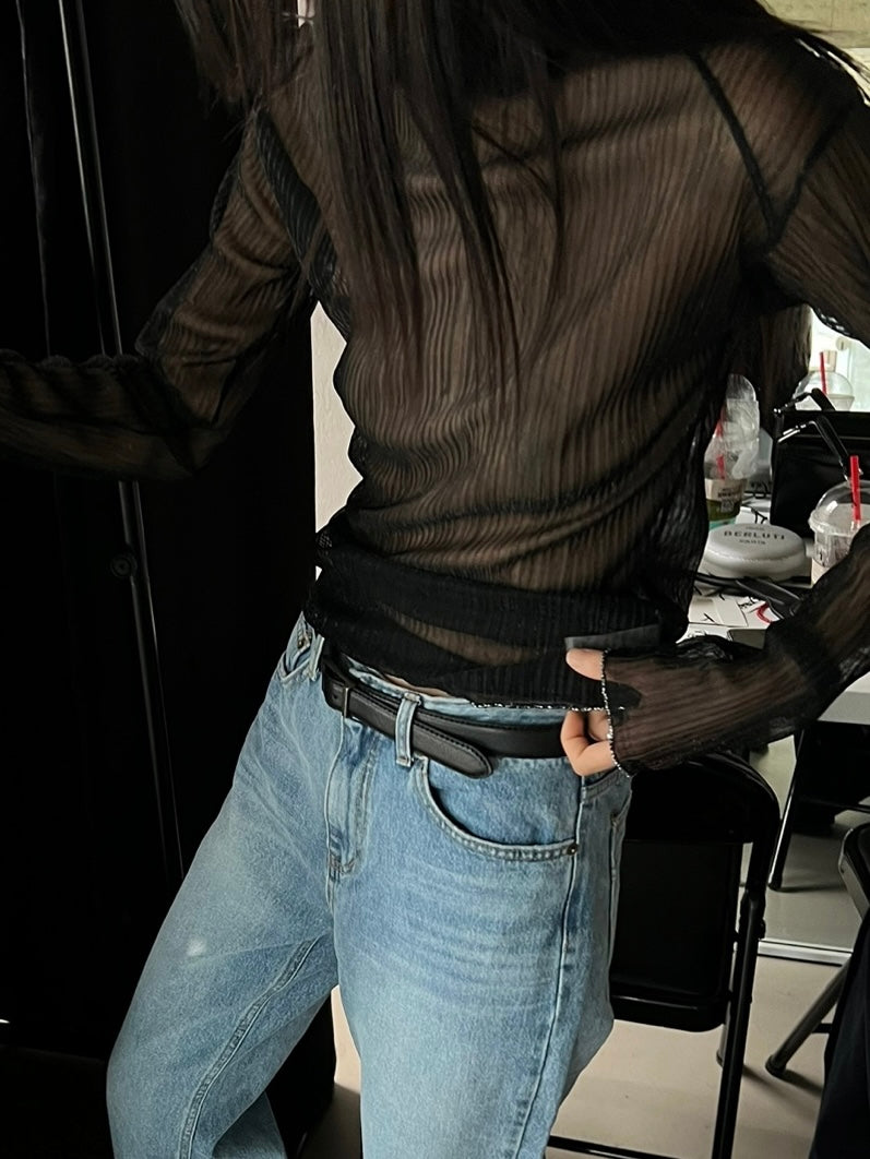 Sparkle Sheer Turtleneck Shirt