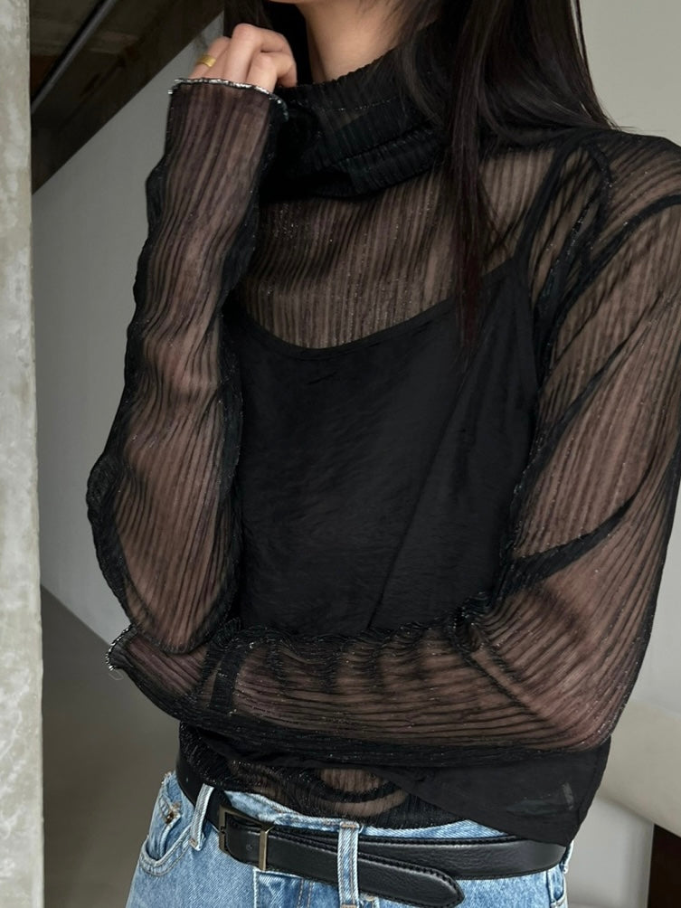 Sparkle Sheer Turtleneck Shirt
