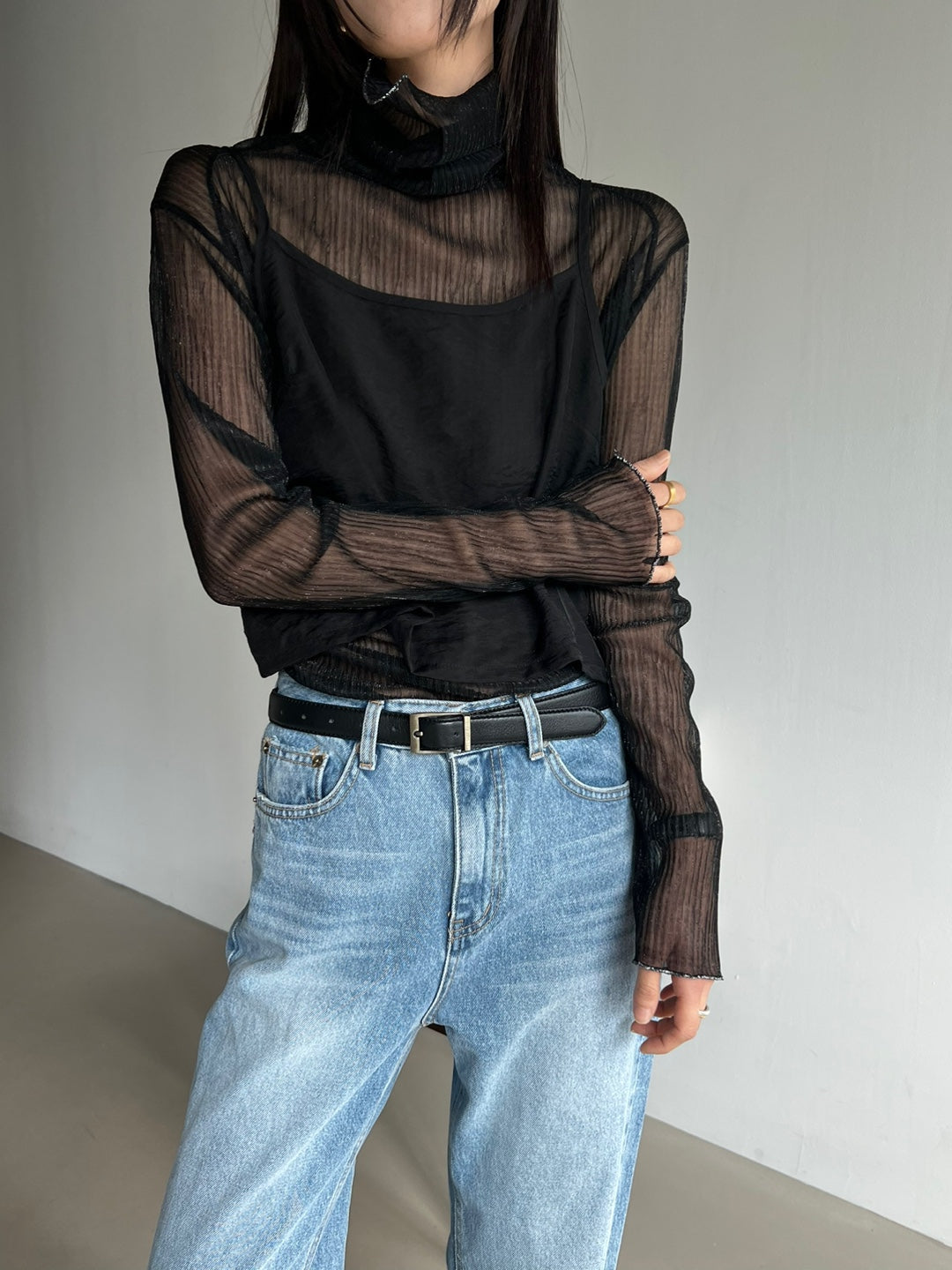 Sparkle Sheer Turtleneck Shirt