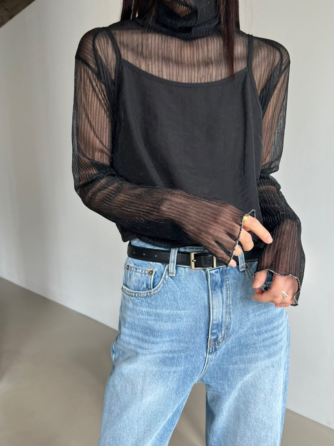 Sparkle Sheer Turtleneck Shirt