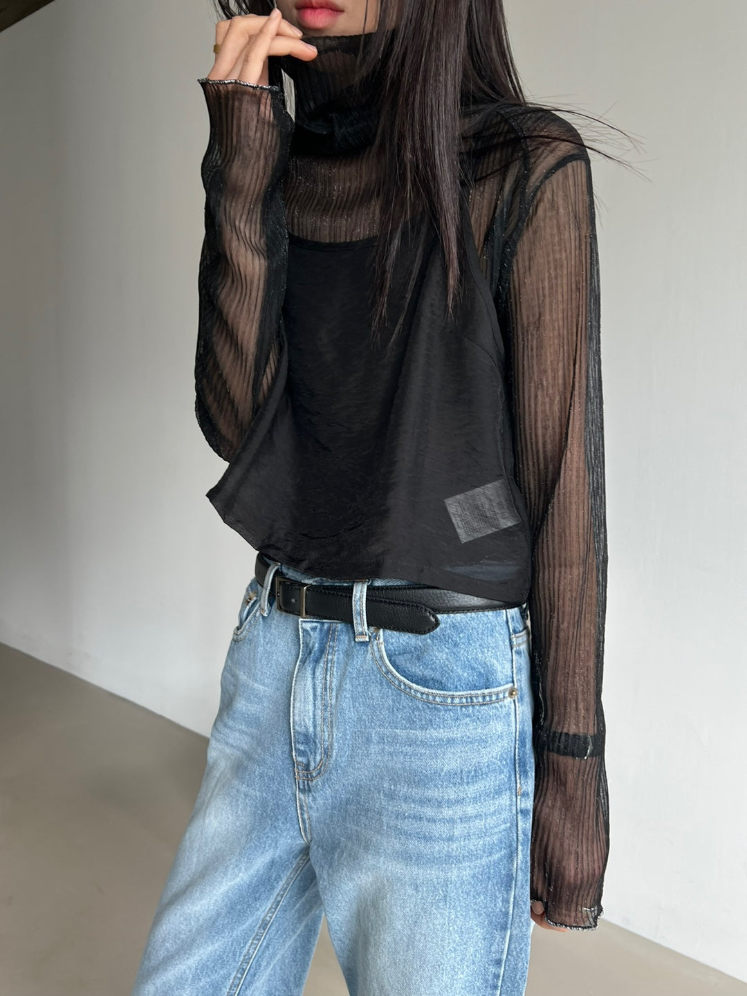 Sparkle Sheer Turtleneck Shirt