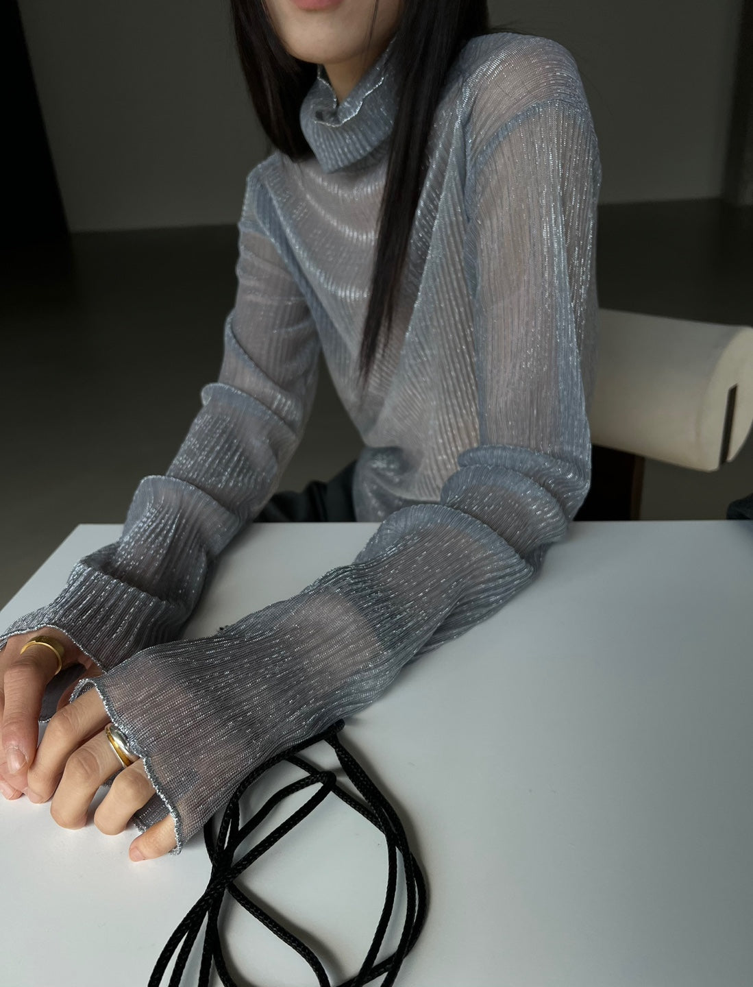 Sparkle Sheer Turtleneck Shirt