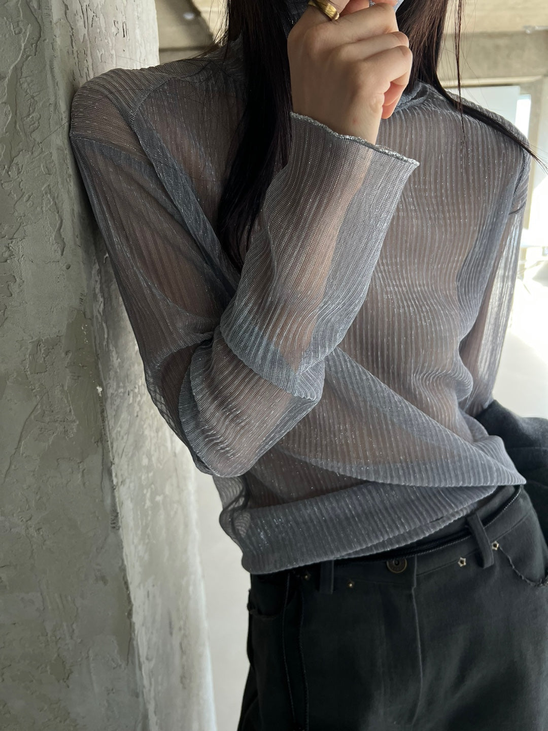 Sparkle Sheer Turtleneck Shirt