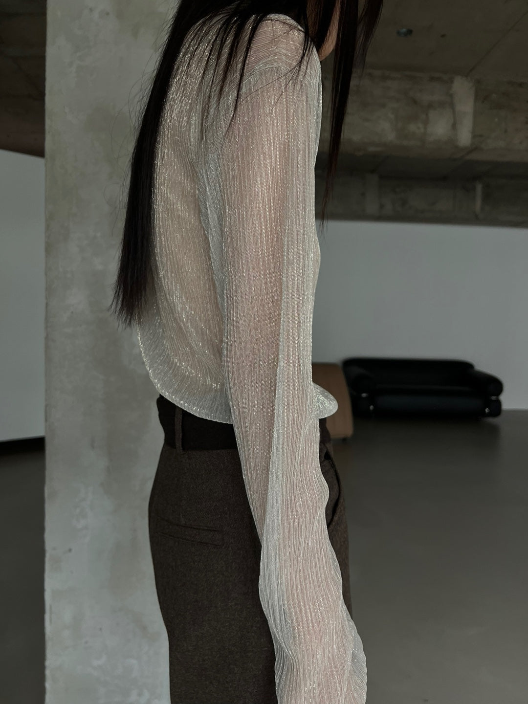 Sparkle Sheer Turtleneck Shirt