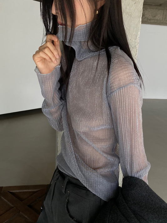 Sparkle Sheer Turtleneck Shirt