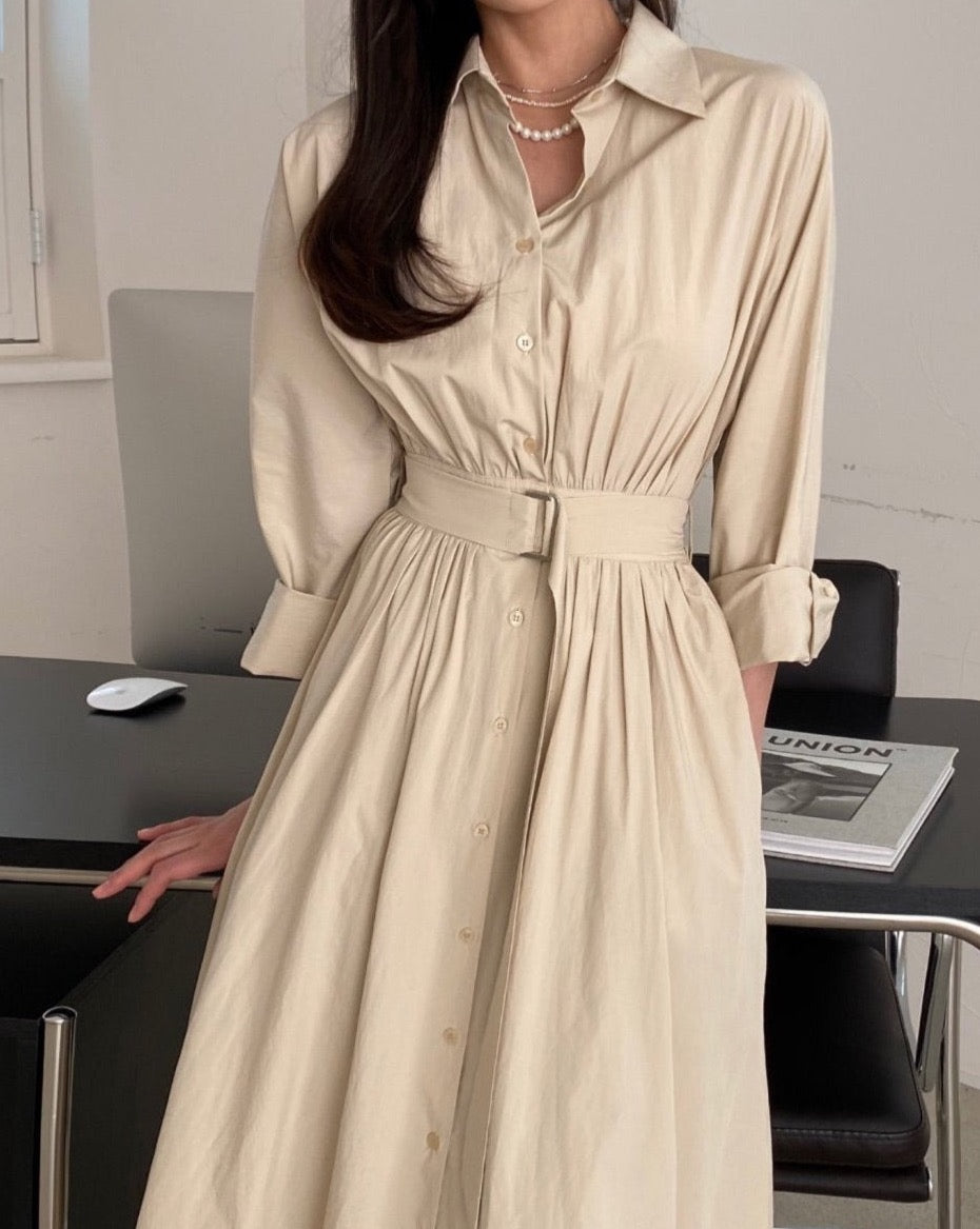 Everyday Shirt Dress