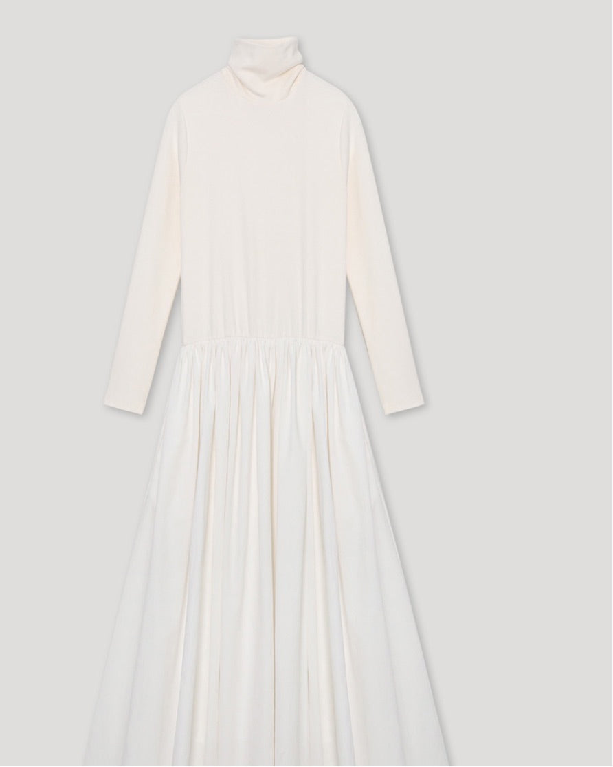 Turtleneck Combo Maxi Dress