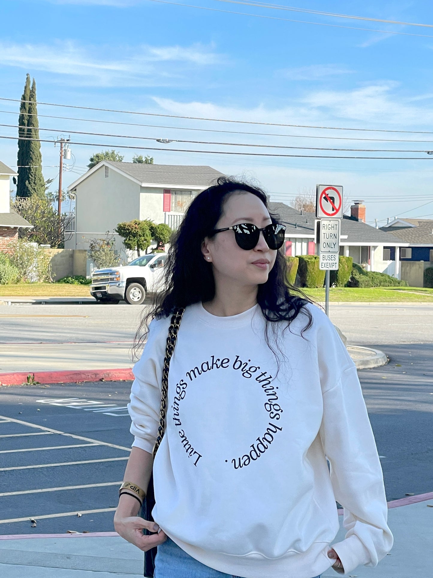 Little Things Make Big Things Happen Sweatshirt