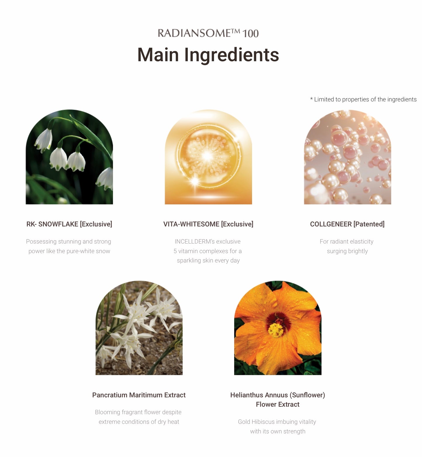 INCELLDERM RADIANSOME™100 MICROFLUIDIZER CREAM