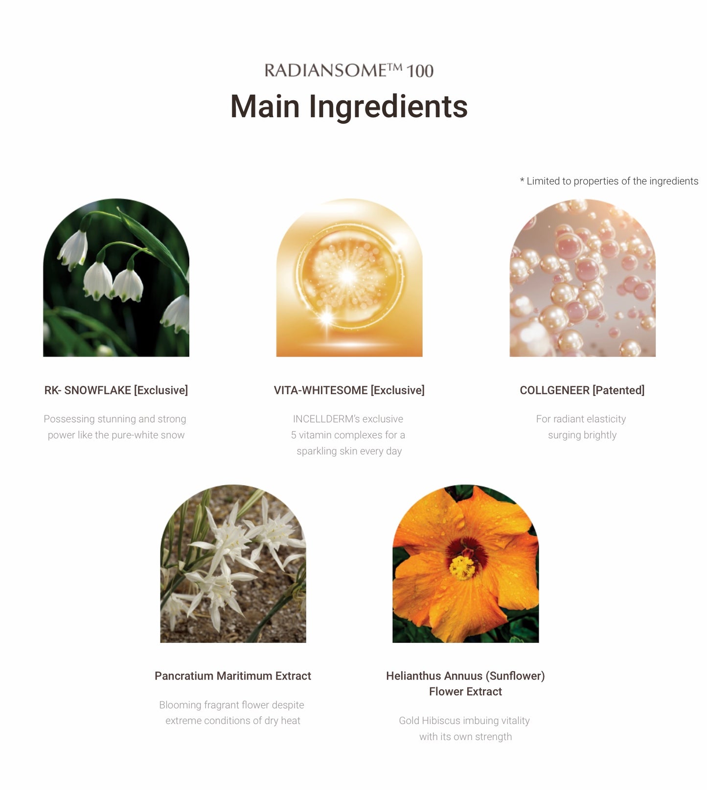 INCELLDERM RADIANSOME™100 MICROFLUIDIZER ESSENTIAL TONER