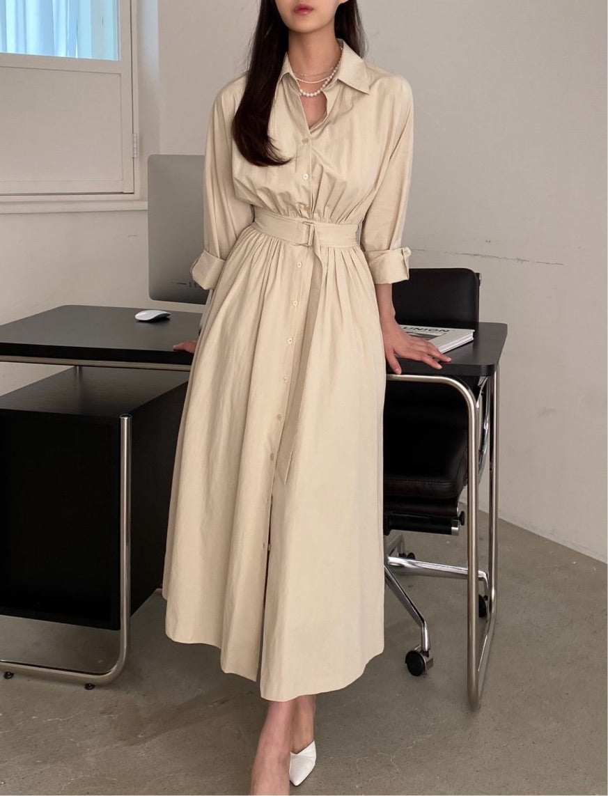 Everyday Shirt Dress